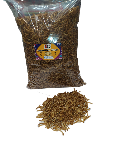 قیمت غذا و سرلاک عروس هلندی و مرغ عشق (21 آذر) قیمت غذا و سرلاک عروس هلندی و مرغ عشق (21 آذر)