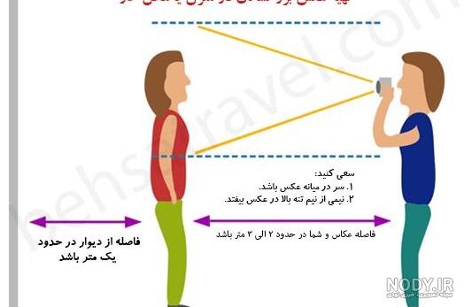 نحوه شناخت بهترین نژاد طوطی گرینچیک - پت پرس