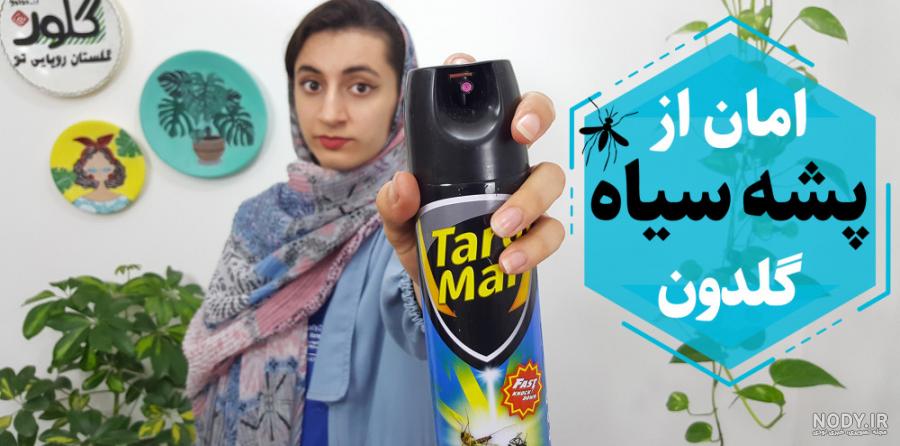 کنه تار عنکبوتی یا کنه قرمز (Spider mite) و روش از بین بردن این ...
