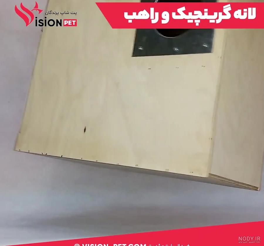 آشنایی کامل با طوطی گرینچیک + نکات طلایی | دنیای حیوانات