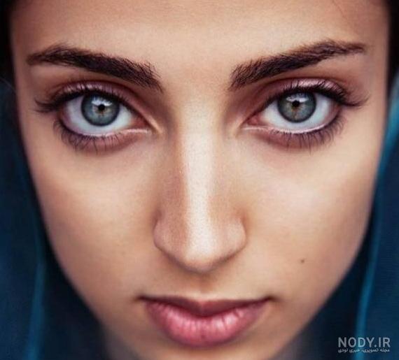 عکس خرگوش چاقالو