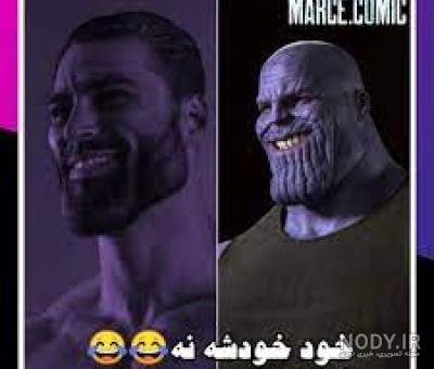 عکس طوطی های خوشرنگ معروف به طوطی برزیلی