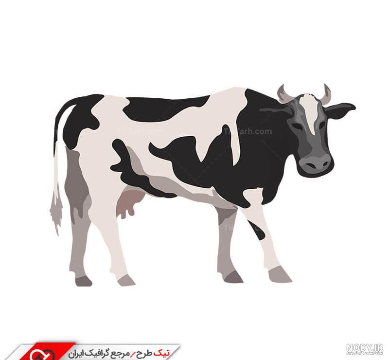 عکس عقاب برای فتوشاپ - عکس نودی