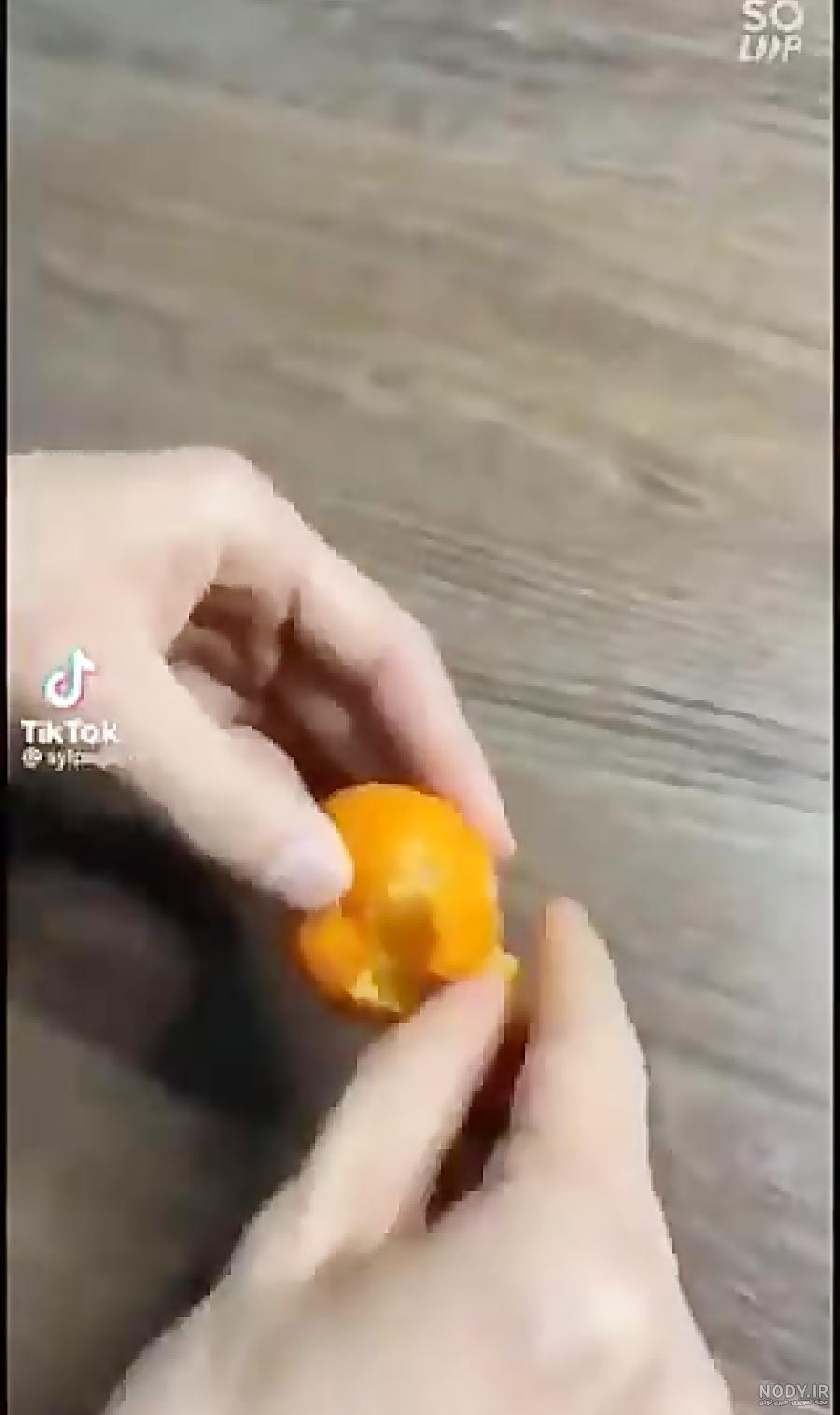 عکس فیلم عنکبوت مقدس