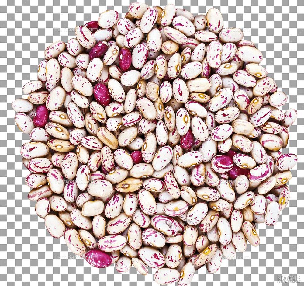 عکس لوبیا چیتی