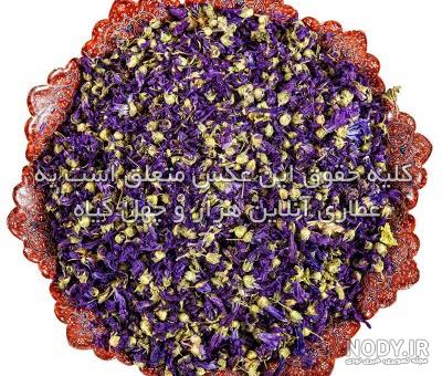 از تفاوت پنیرک و ختمی چه می دانید؟ | جهان شیمی فیزیک