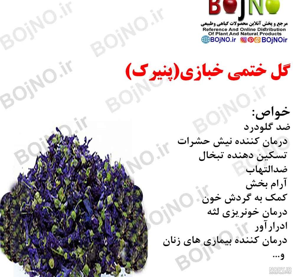خواص گل پنیرک چیست؟ ☕ طبع دمنوش گل پنیرک برای چی خوبه؟