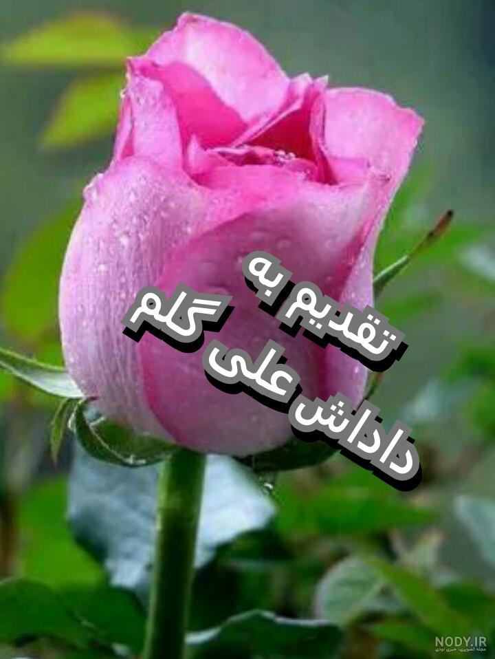 عکس داداش علی دایی عکس داداش علی دایی