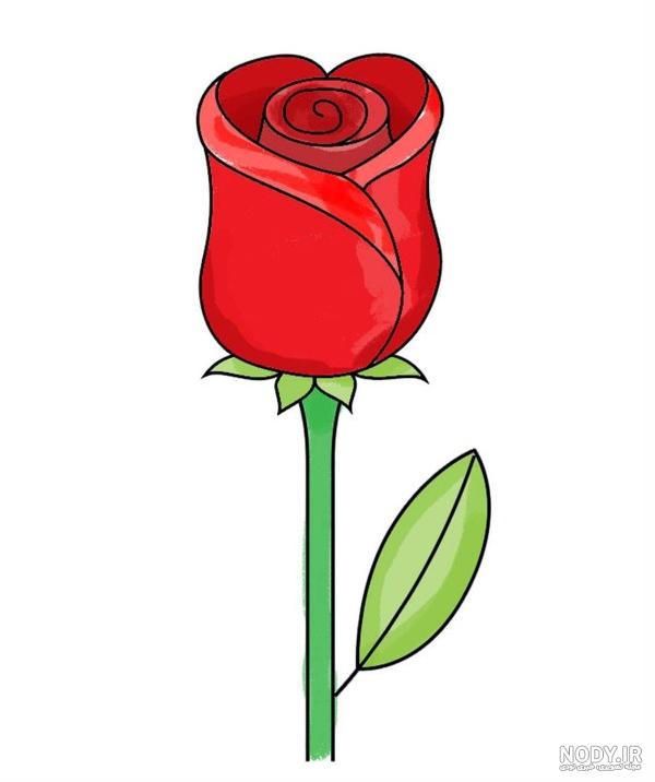 عکس دسته گل کارتونی - عکس نودی