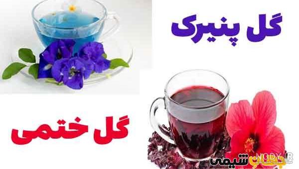 عکس گل ختمی و پنیرک
