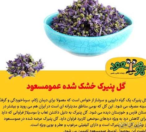 عکس گل ختمی و پنیرک