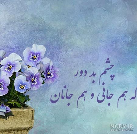 عکس گل های کارتونی زیبا - عکس نودی