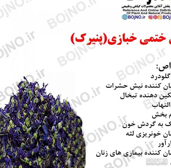 مهم ترین خواص پنیرک و طبع پنیرک که نمی دانستید!!!