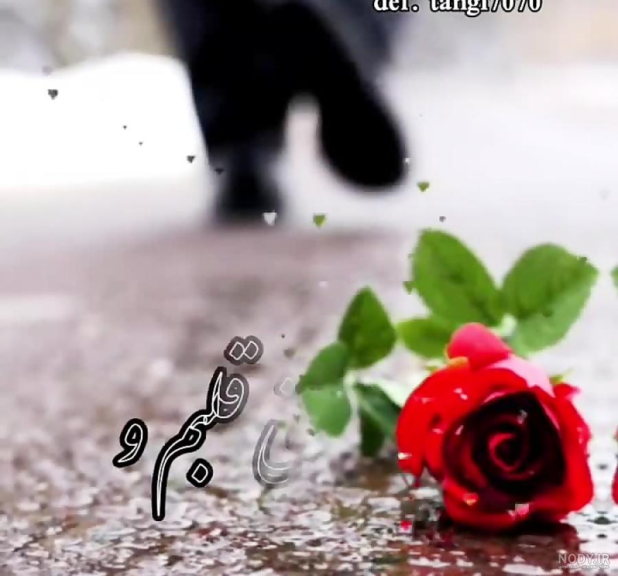 عکس داداش عزیزم دوستت دارم عکس داداش عزیزم دوستت دارم