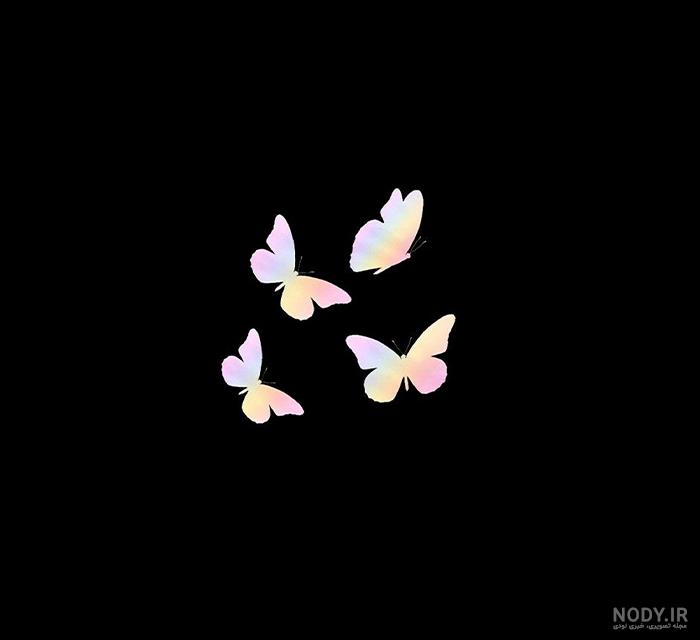 عکس سیاه پروانه