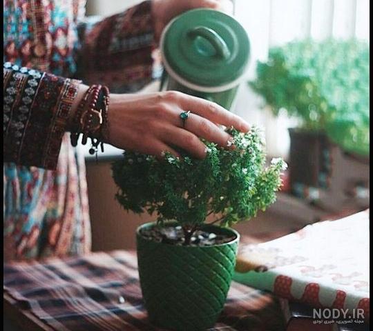 عکس قدیمی | 110 عکس نوستالژیک از خانه های قدیمی ایرانی - دلبرانه
