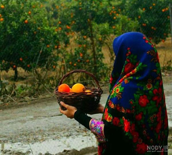 عکس پروفایل منظره از طبیعت فصول مختلف سال و مناطق زیبا و تماشایی