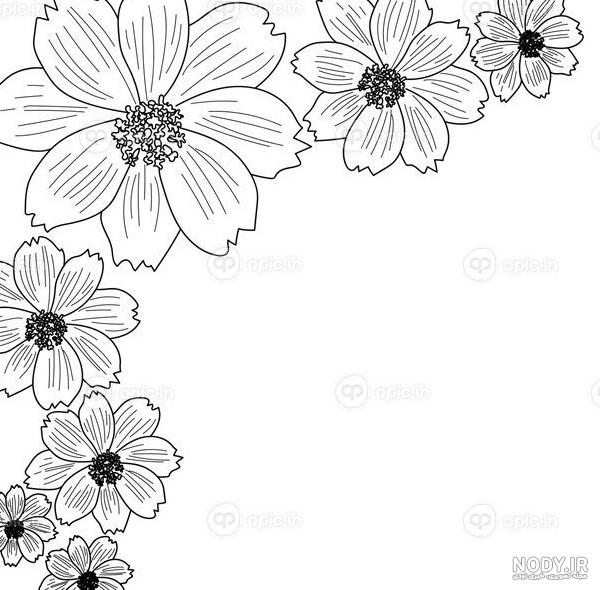 عکس گل حاشیه دفتر