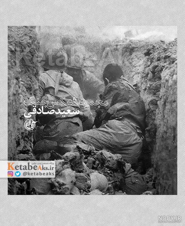 فرارو | (تصاویر) جنگ جهانی اول؛ حیوانات جنگی فرارو | (تصاویر) جنگ جهانی اول؛ حیوانات جنگی