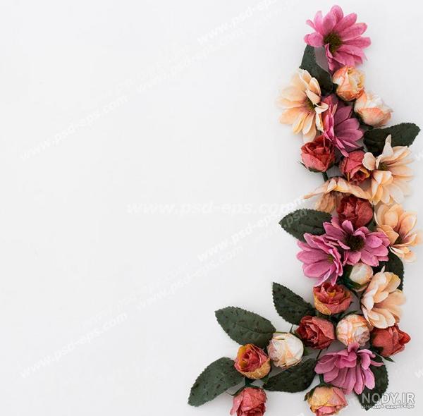 نقاشی گل حاشیه دفتر مشق - عکس نودی