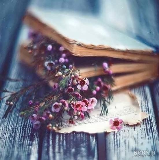 یه عکس زیبا برای پروفایل