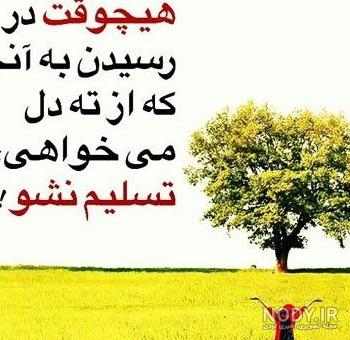 عکس نوشته راز موفقیت در زندگی