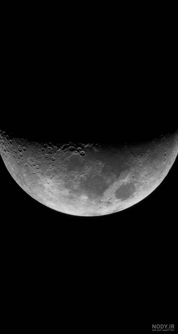 مجموعه عکس سه شیر ها (جدید) مجموعه عکس سه شیر ها (جدید)