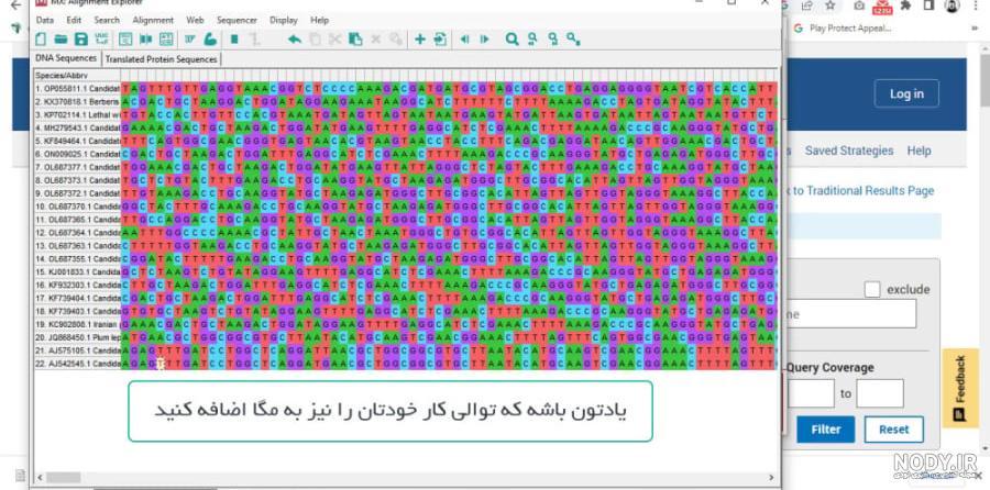 خرید و قیمت گل اشک ملکه خرید و قیمت گل اشک ملکه