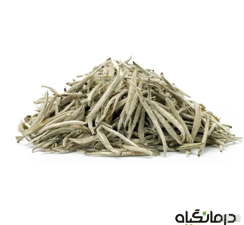 خرید چای سفید اصل | خواص و قیمت چای سفید سوزنی | درمانگیاه خرید چای سفید اصل | خواص و قیمت چای سفید سوزنی | درمانگیاه