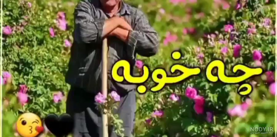 عکس نوشته تبریک ولادت امام علی + عکس و متن تبریک روز پدر