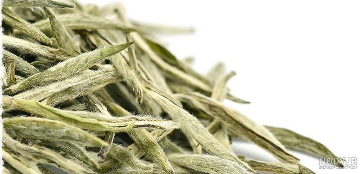 عکس چای سفید اصل عکس چای سفید اصل