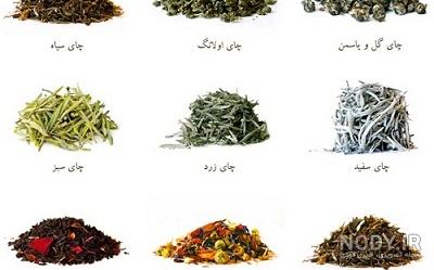 عکس چای سفید چیست - عکس نودی