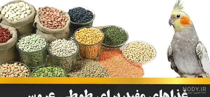 مجموعه عکس شب یلدا برای پدر فوت شده (جدید) مجموعه عکس شب یلدا برای پدر فوت شده (جدید)