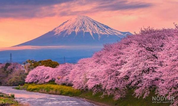 عکس های ژاپنی عکس های ژاپنی