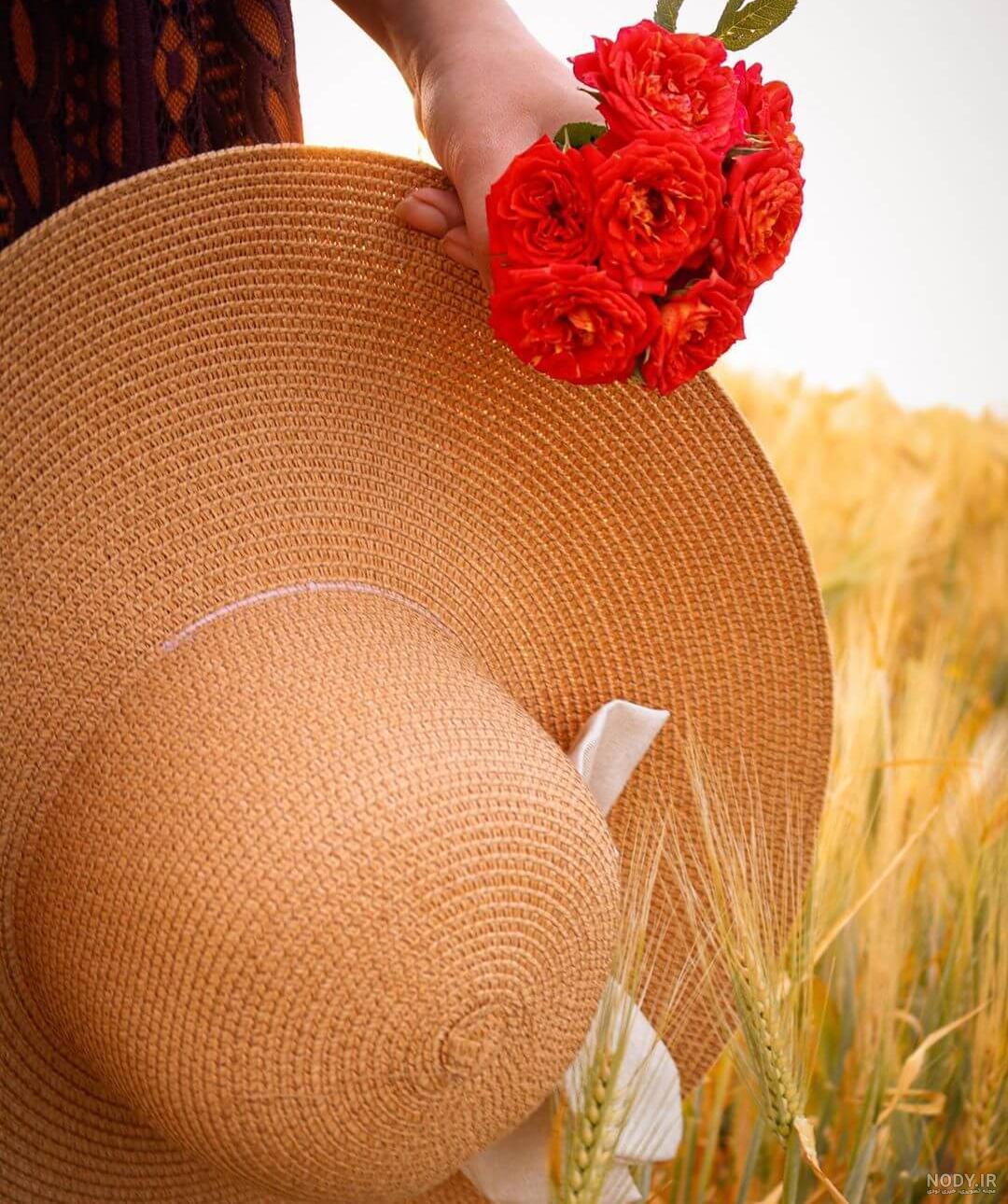 بایگانی‌های عکس پروفایل دخترونه با گل رز - کامل (مولیزی)