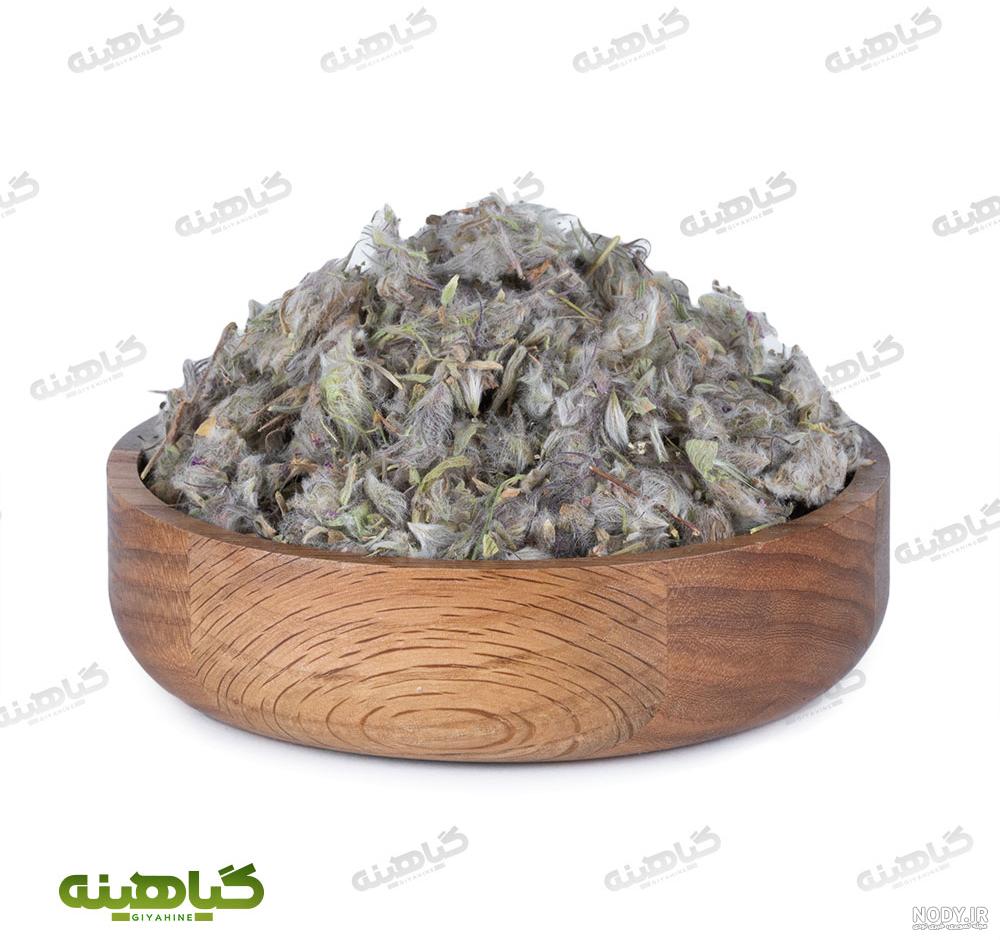 تصویر گل چای ترش