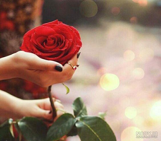 عکس دخترونه برای پروفایل گل - عکس نودی