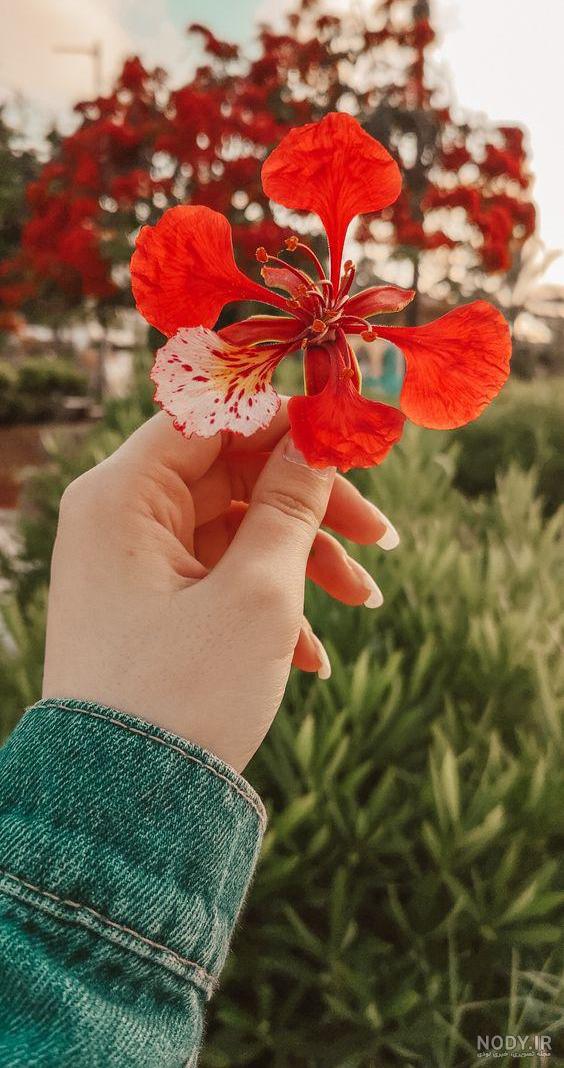 عکس پروفایل دخترانه شیک گل