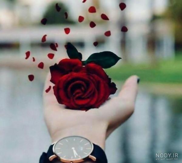 عکس پروفایل دخترونه با گل