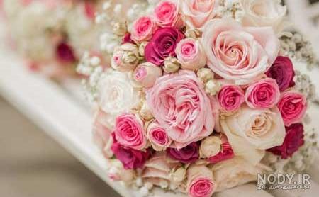 عکس گل برای پروفایل دخترانه