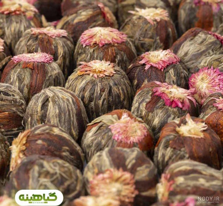 عکس گل چایی