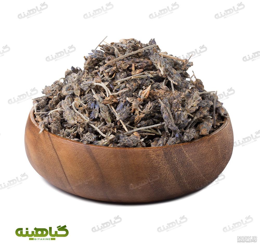 عکس گل چایی