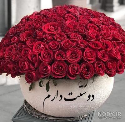 تصویر گل برای عشقم