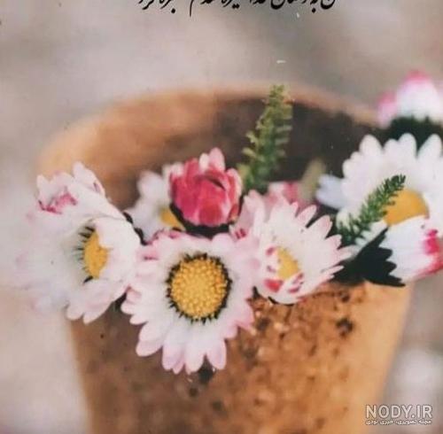 دانلود عکس زیبا برای پروفایل اینستا دانلود عکس زیبا برای پروفایل اینستا