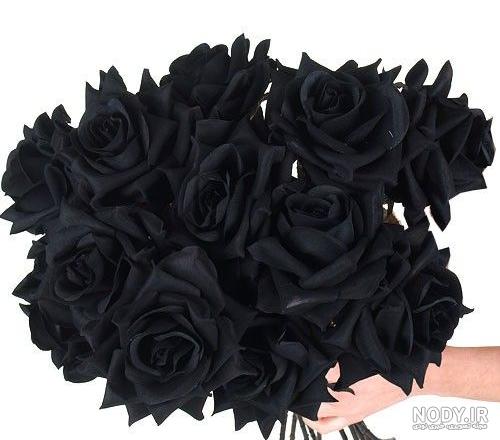 عکس سیاه قلم گل رز