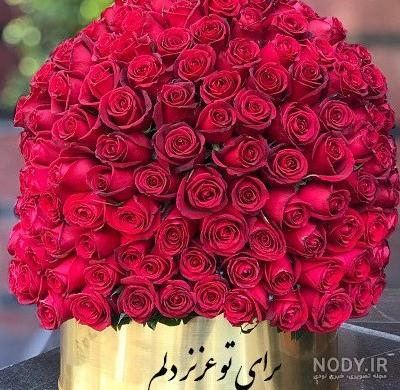 عکس گل برای عشقم