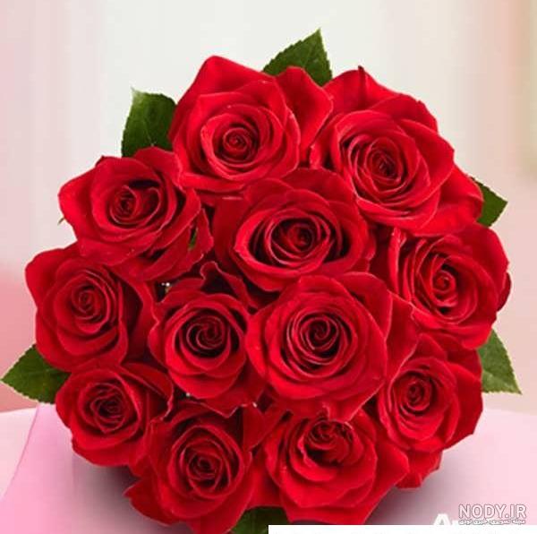 عکس گل خوشگل قرمز