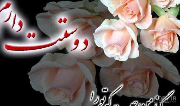 عکس گل رز تقدیم به عشقم