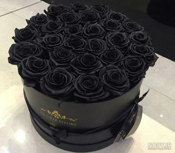 عکس گل رز مشکی برای تسلیت