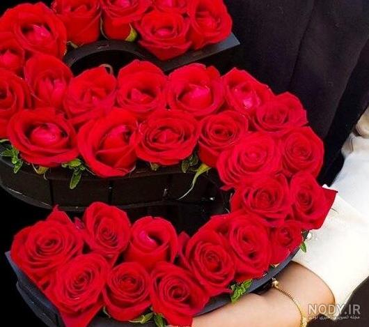 عکس گل زیبا برای عشقم